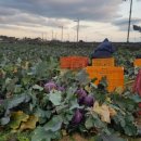 영송농장 이미지