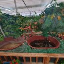 포시즌농장 이미지