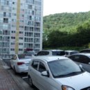 봉계대곡길 이미지