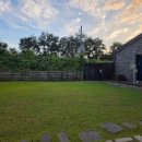 쑤기네 풀 이미지