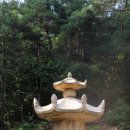 여주-0039 네이버블로그