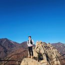 용쓰스토어 | 러닝 마라톤 등산 에너지젤 내돈내산 섭취 후기