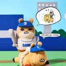 우리팀 콜라보 떴는데 밤티력 레전드임 이미지
