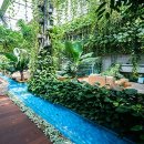 한 여름밤의 싱잉볼 명상 여행(아로마테라피) | 식물원인 줄 알았더니 찜질방… 하루 150명 제한 힐링 명소