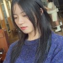 퍼니랜드 대치동점 | 대치동미용실에서 찾은 스타일 팁과 편의 시설 가이드