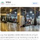 싸비복싱멀티짐 이미지