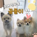 이쁘개 아름답개 이미지