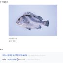 군장 수산물센타 | 국내산 참복 이 끝내주는 활 복어탕 은 군산 희망복회수산 희망회수산 희망수산 자연산횟집