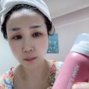 소노지아 이미지