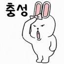 군산전자담배디오션베이프 이미지