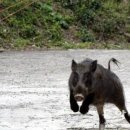 도봉농장 이미지