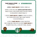 스타벅스 안양덕현DT점 이미지