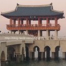 영일만검은돌장어 | 제3회 포항 영일만 검은 돌장어 축제 + 영일대해수욕장과 닭새우,꽃새우,회 후기