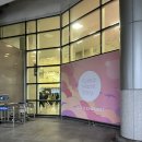 스토리(A) | [제주공항] "덕질과 여행의 완벽한 조화!" 메이플스토리 팝업스토어 'Have a Maple Flight' 찐 방문 후기