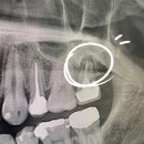 주플란트치과의원 이미지
