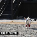 또자펜션 이미지