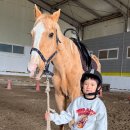 임자로 | 신안 임자도 카라반 임자글램핑테마파크 아이와 승마체험까지!!