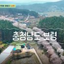 초록마을보령