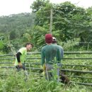 방목농장 이미지