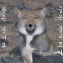 무념무상 네이버블로그
