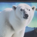 서울대공원 테마가든 장미원 산책 1편 이미지