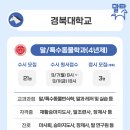 성운대학교 재활승마장 | 🎓 말산업 관련 학교 - 대학/대학교편 [2027학년도]