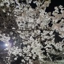 수레선생의 산티아고 순례기 2 이미지