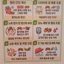 한국떡집 | 파주떡집 '도토리 떡집' 방문 후기, 파주백일떡 파주답례떡 추천!
