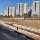 삼미천 이미지