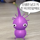 다봐 이미지
