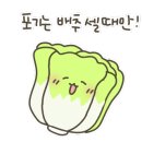 노벨랜드 - 용인시 기흥구 덕영대로 1804 | 노벨랜드