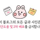 팝콘하우스펜션2 이미지