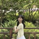 화이트망고 - 강남구 | 화이트망고