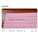 여서로 | 8월의 일상 보고합니다. 잔뜩 예민해진 채로
