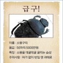 사구축산 이미지