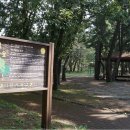 대송면 홍계숲 이미지