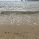 안리무스 이미지