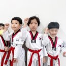 교동태권도 | 탄벌초에서 가까운 &#34;경희대 초심 태권도&#34; 소개