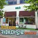 운정호수동물메디컬센터 | 파주 애견동반카페 마일로｜운정호수공원 근처 쫄깃한 블루베리 베이글 맛집