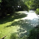 서사분교 이미지