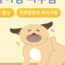 분당정자 동물병원 이미지