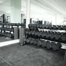 피지컬프로짐 이미지