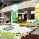 2022 빛고을반려동물한마당, 부스 체험하기