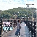 무섬마을 | 안동 월영교 후기｜무섬마을 근처 들르기 좋은 산책 코스