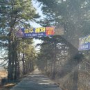 경주여행 액티비티 경주레저 카트레이싱 넘 재미있고 신나요~