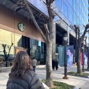 이송빌딩 | '클림트와 리치 오디의 기적' 후기❣️🖼