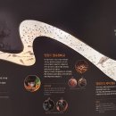 달성습지 생태 학습관 이미지