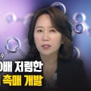 수소연료전지 작동 원리 | 백금보다 1/80배 저렴한 수소 전지 대체 촉매 개발 이미지