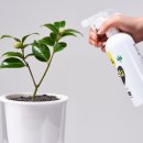 트리벅스 이미지