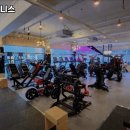 캐리비안 휘트니스 이미지